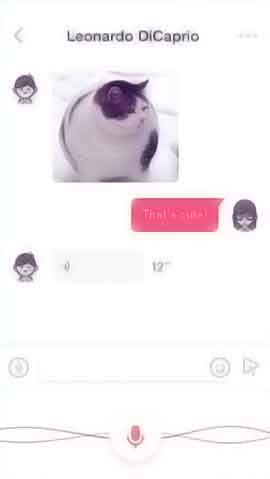 网络ddos监测分析工具软件程序维护界面